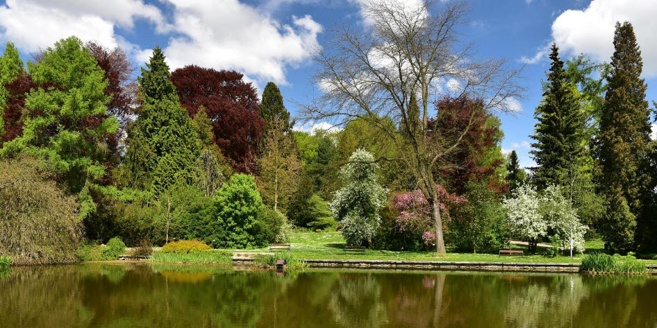 Arboretum Bílá Lhota, Czech Republic (Czechia)